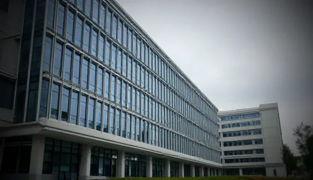 出行配套服务如何选择婚礼主持，优化婚礼体验